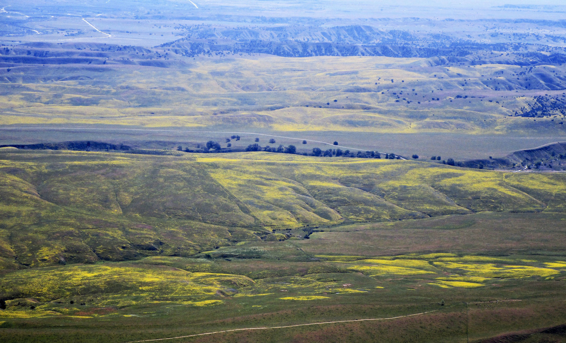 041319 Superbloom Soda Lake 01.jpg